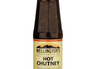 WELLINGTONS Chutney Hot (470g)