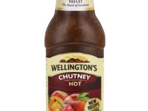 WELLINGTONS Chutney Squeeze Hot (470g)