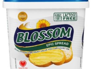 Blossom Lite Medium Fat Spread 1kg