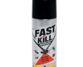 MORTEIN Insect Spray Floal Burst (300ml)