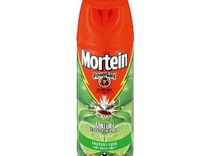 MORTEIN Insect Spray Odourless (300ml)