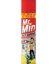 MR MIN Wood Polish Regular (300ml)