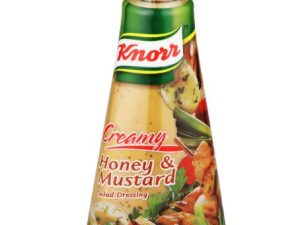 KNORR Salad Dressing Honey & Mustard (340ml)
