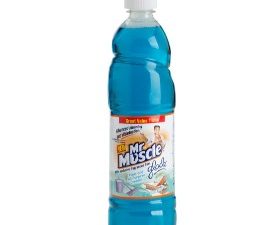 MR MUSCLE All Purpose Cleaner