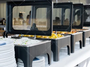 Luxury Food Warmer