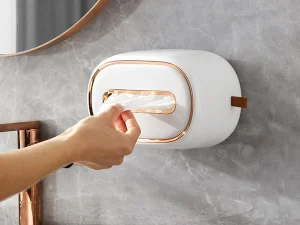 Wall-mounted Tissue Box