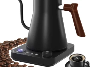 Electric Gooseneck Kettle 900ML