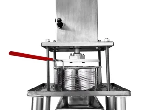110/220V Commercial Juice Press