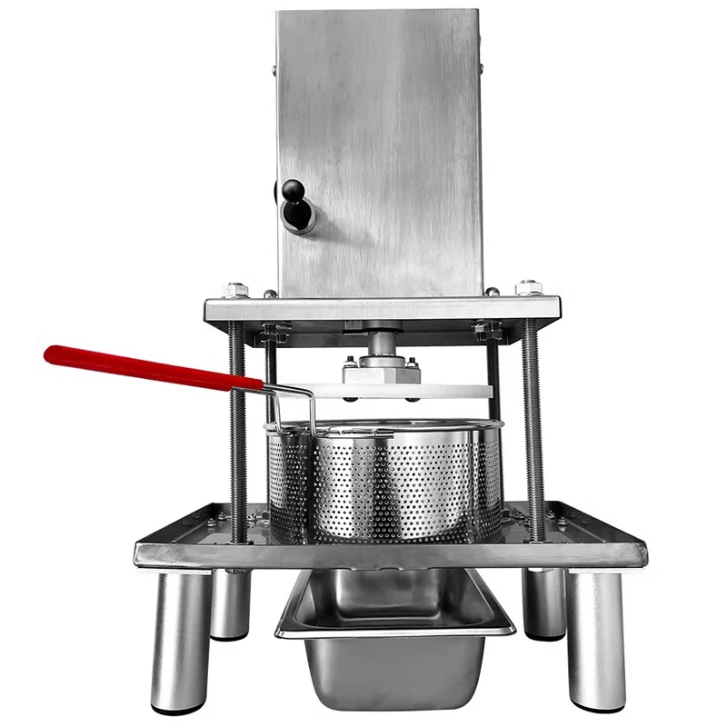 110/220V Commercial Juice Press