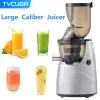 Large Caliber Slow Juicer