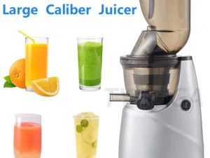 Large Caliber Slow Juicer