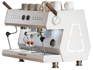 Italian Double Head Professional Semi-Automatic Coffee Machine
