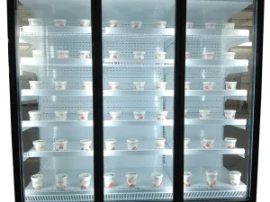 Supermarket Display Commercial Vertical Cabinet Freezer
